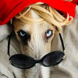 Christian Dior classic round black sunglasses.